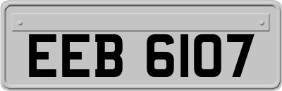 EEB6107