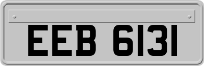 EEB6131