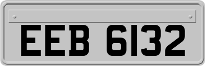 EEB6132