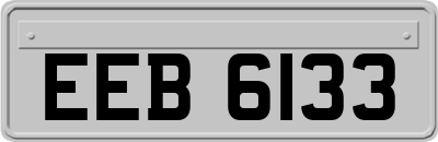 EEB6133