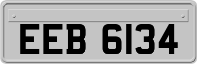 EEB6134