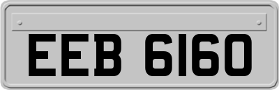 EEB6160