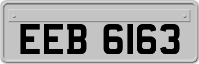 EEB6163