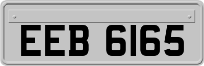 EEB6165