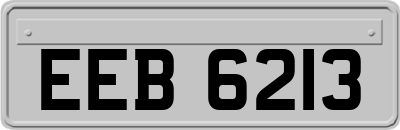 EEB6213