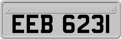 EEB6231
