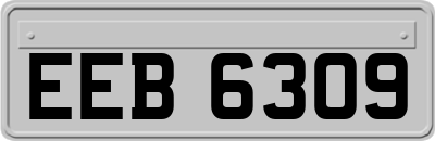 EEB6309