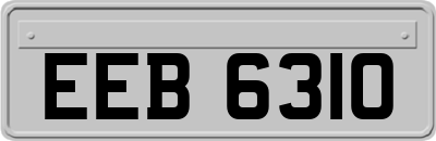 EEB6310