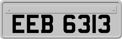 EEB6313