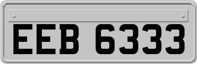 EEB6333