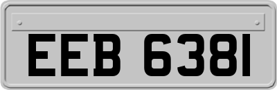 EEB6381