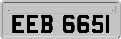 EEB6651