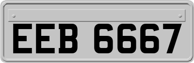EEB6667