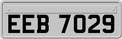 EEB7029