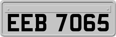 EEB7065