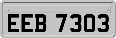 EEB7303