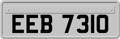 EEB7310