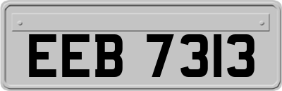EEB7313