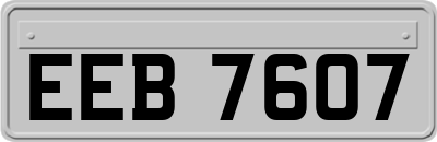 EEB7607