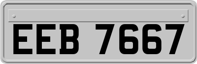 EEB7667