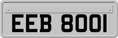 EEB8001