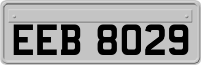 EEB8029