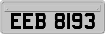 EEB8193
