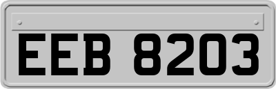 EEB8203