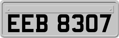 EEB8307