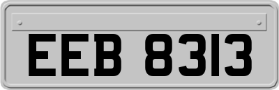 EEB8313