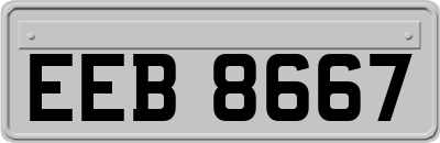 EEB8667