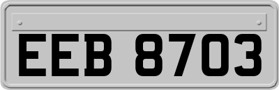 EEB8703