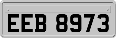 EEB8973