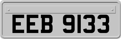 EEB9133