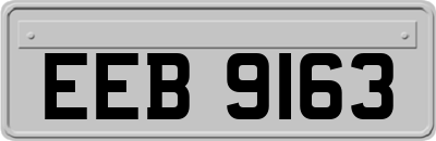 EEB9163