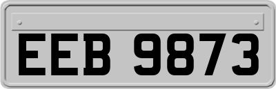 EEB9873
