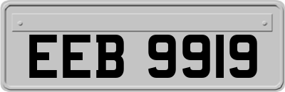 EEB9919