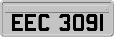 EEC3091
