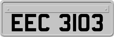 EEC3103