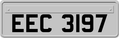 EEC3197