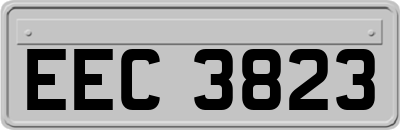EEC3823