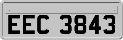 EEC3843