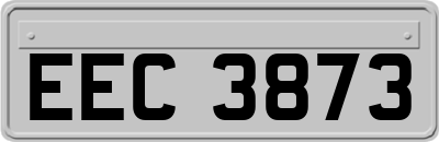 EEC3873