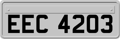 EEC4203