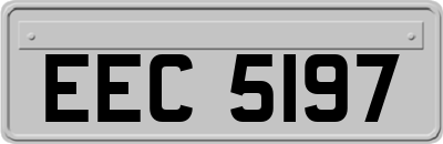 EEC5197