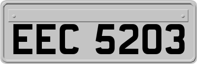 EEC5203