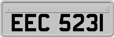 EEC5231