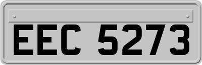 EEC5273