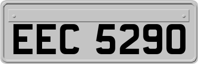 EEC5290