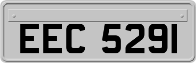 EEC5291